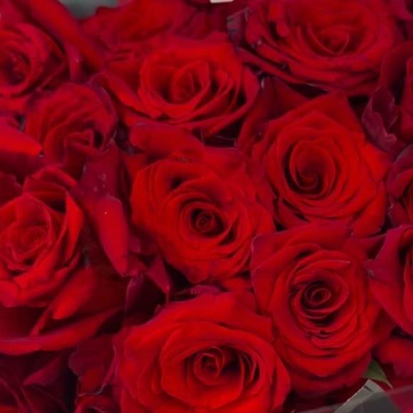 Meet your Posher, Suzette - Picture 1 of 1